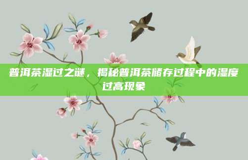 普洱茶湿过之谜，揭秘普洱茶储存过程中的湿度过高现象