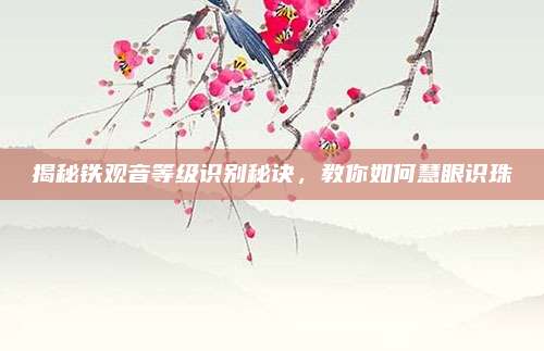 揭秘铁观音等级识别秘诀，教你如何慧眼识珠