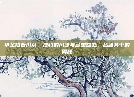 小金柑普洱茶，独特的风味与多重益处，品味其中的奥秘