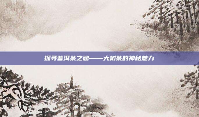 探寻普洱茶之魂——大树茶的神秘魅力