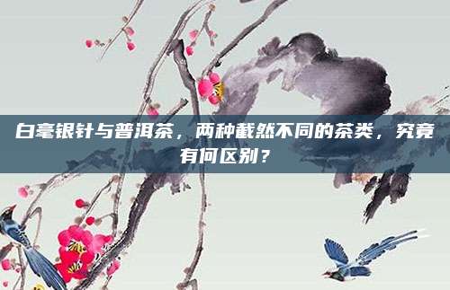 白毫银针与普洱茶，两种截然不同的茶类，究竟有何区别？