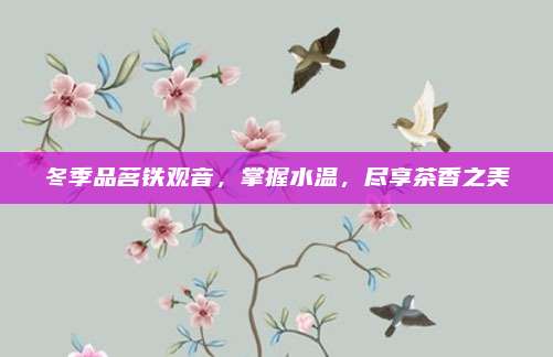 冬季品茗铁观音，掌握水温，尽享茶香之美
