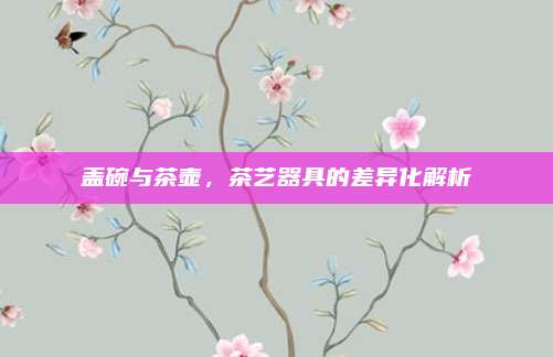 盖碗与茶壶，茶艺器具的差异化解析