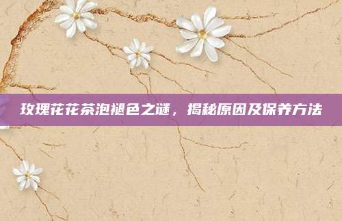 玫瑰花花茶泡褪色之谜，揭秘原因及保养方法