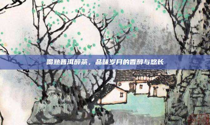 喝熟普洱醉茶，品味岁月的香醇与悠长