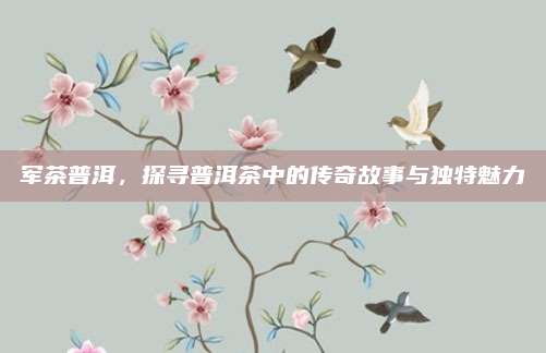 军茶普洱，探寻普洱茶中的传奇故事与独特魅力