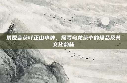 铁观音茶叶正山小种，探寻乌龙茶中的珍品及其文化韵味