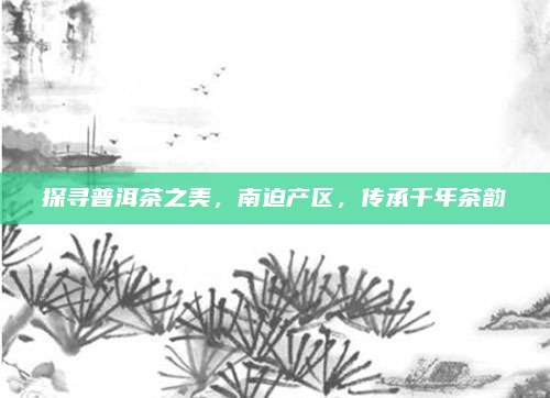 探寻普洱茶之美，南迫产区，传承千年茶韵