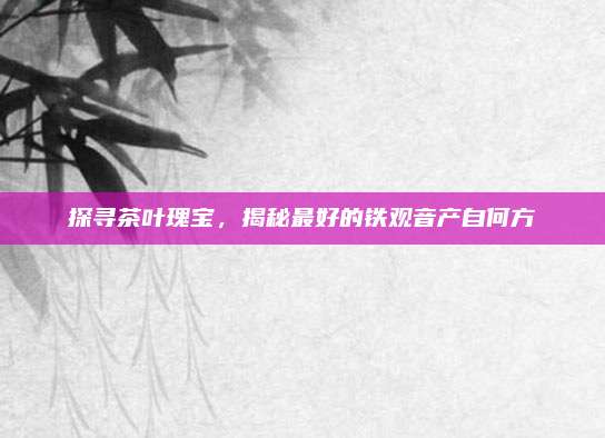 探寻茶叶瑰宝，揭秘最好的铁观音产自何方