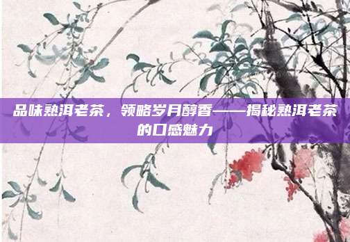 品味熟洱老茶，领略岁月醇香——揭秘熟洱老茶的口感魅力