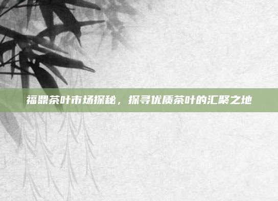 福鼎茶叶市场探秘，探寻优质茶叶的汇聚之地