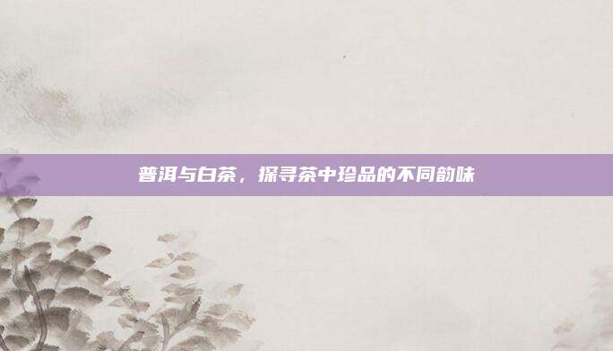 普洱与白茶，探寻茶中珍品的不同韵味