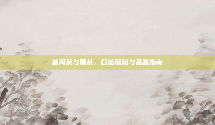 普洱茶与黑茶，口感探秘与品鉴指南