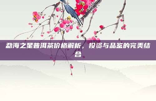 勐海之星普洱茶价格解析，投资与品鉴的完美结合