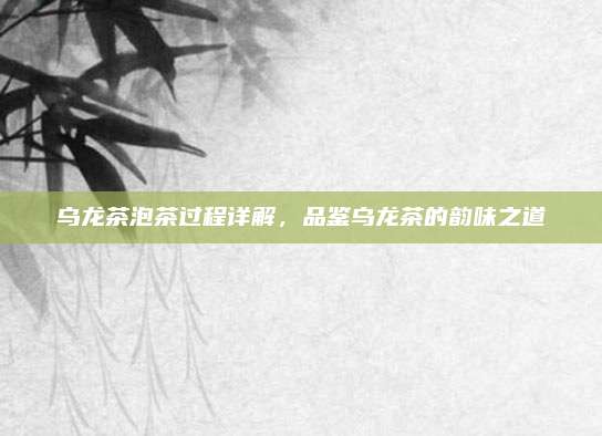 乌龙茶泡茶过程详解，品鉴乌龙茶的韵味之道