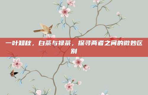 一叶知秋,白茶与禄茶,探寻两者之间的微妙区别