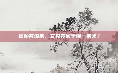揭秘普洱茶,它究竟属于哪一茶类?