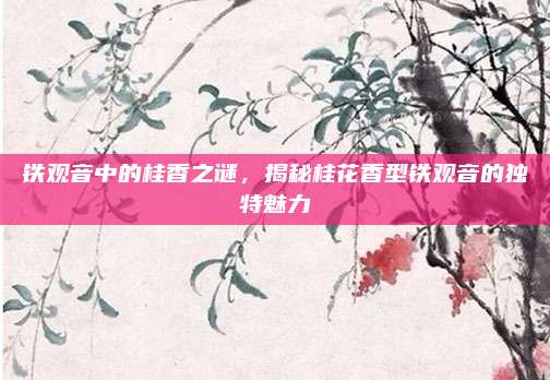 铁观音中的桂香之谜,揭秘桂花香型铁观音的独特魅力