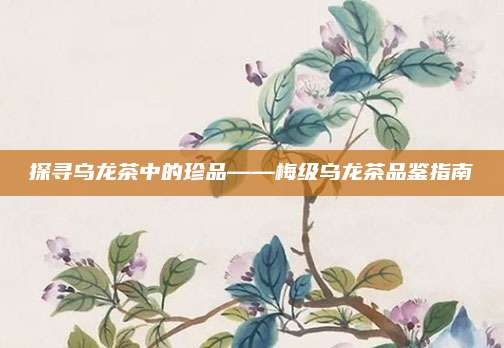 探寻乌龙茶中的珍品——梅级乌龙茶品鉴指南