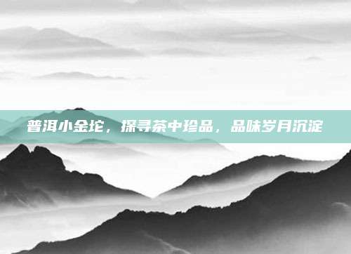 普洱小金坨，探寻茶中珍品，品味岁月沉淀