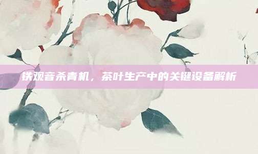 铁观音杀青机，茶叶生产中的关键设备解析