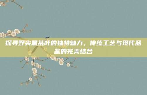 探寻野尖黑茶叶的独特魅力,传统工艺与现代品鉴的完美结合