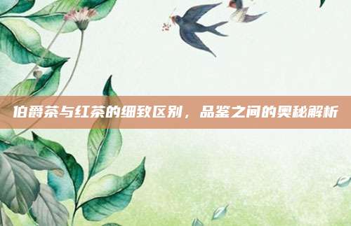 伯爵茶与红茶的细致区别，品鉴之间的奥秘解析