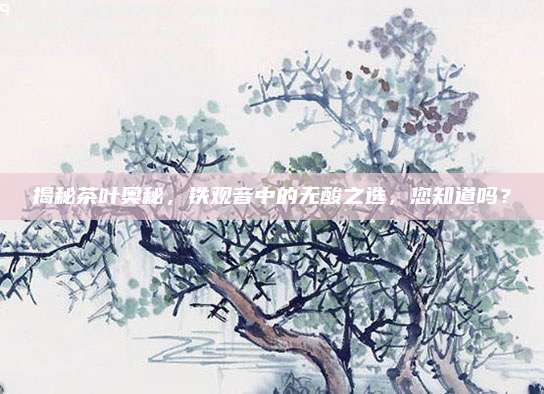 揭秘茶叶奥秘，铁观音中的无酸之选，您知道吗？