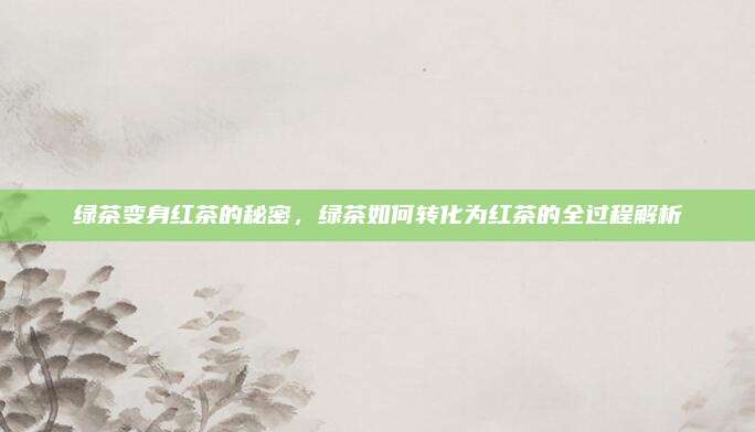 绿茶变身红茶的秘密，绿茶如何转化为红茶的全过程解析