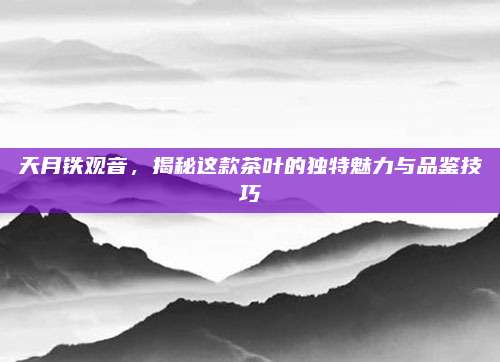 天月铁观音，揭秘这款茶叶的独特魅力与品鉴技巧