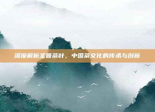 深度解析圣普茶叶，中国茶文化的传承与创新