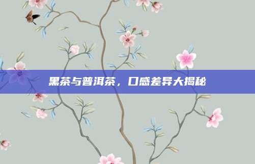 黑茶与普洱茶,口感差异大揭秘
