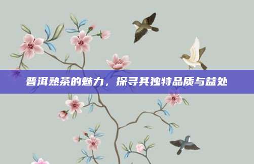 普洱熟茶的魅力,探寻其独特品质与益处