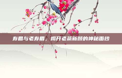 寿眉与老寿眉,揭开老茶新颜的神秘面纱