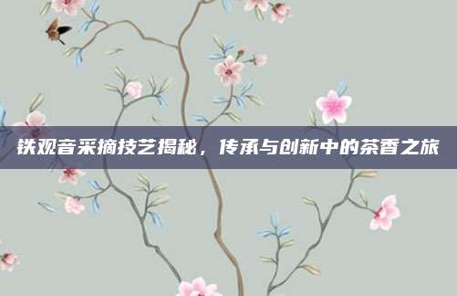 铁观音采摘技艺揭秘,传承与创新中的茶香之旅