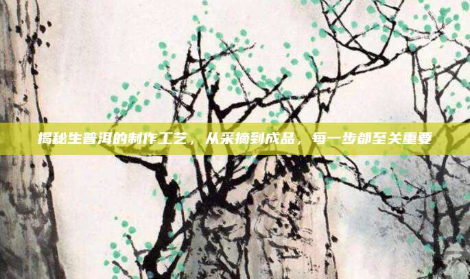 揭秘生普洱的制作工艺，从采摘到成品，每一步都至关重要