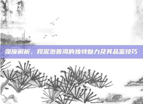 深度解析,段泥泡普洱的独特魅力及其品鉴技巧