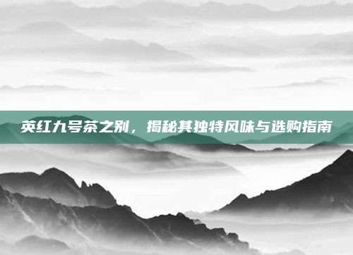 英红九号茶之别，揭秘其独特风味与选购指南