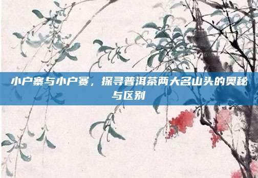 小户寨与小户赛，探寻普洱茶两大名山头的奥秘与区别