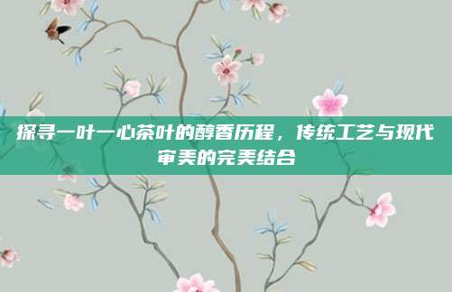 探寻一叶一心茶叶的醇香历程,传统工艺与现代审美的完美结合