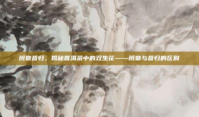 班章昔归,揭秘普洱茶中的双生花——班章与昔归的区别