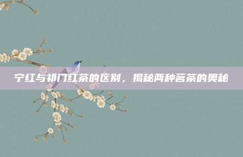 宁红与祁门红茶的区别,揭秘两种茗茶的奥秘