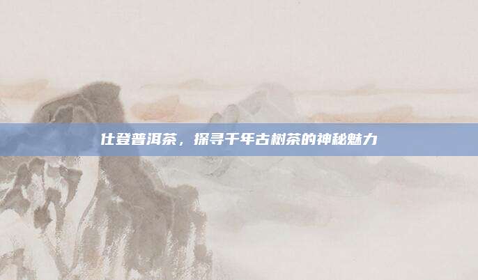 仕登普洱茶,探寻千年古树茶的神秘魅力