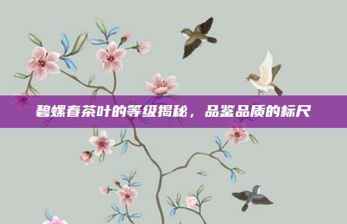 碧螺春茶叶的等级揭秘，品鉴品质的标尺