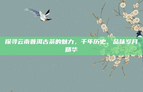 探寻云南普洱古茶的魅力,千年历史,品味岁月精华