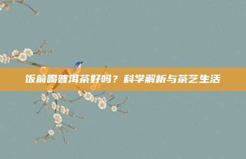 饭前喝普洱茶好吗?科学解析与茶艺生活