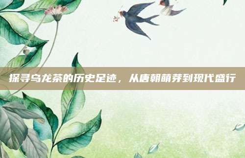 探寻乌龙茶的历史足迹,从唐朝萌芽到现代盛行