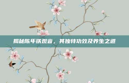 揭秘陈年铁观音,其独特功效及养生之道