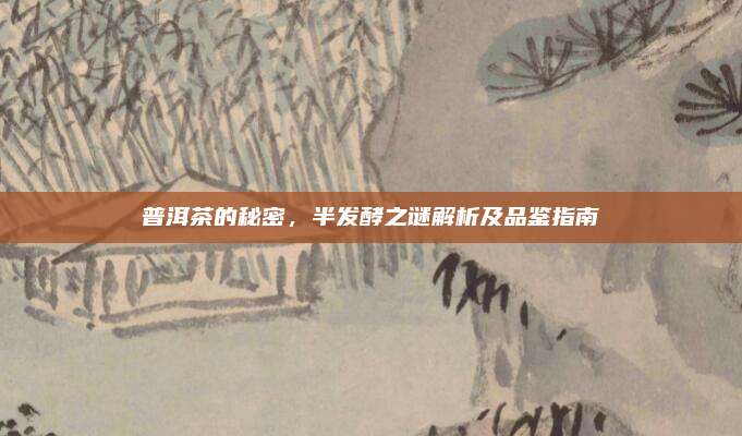 普洱茶的秘密,半发酵之谜解析及品鉴指南