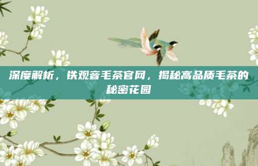 深度解析,铁观音毛茶官网,揭秘高品质毛茶的秘密花园